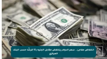 انخفاض مفاجئ.. سعر الدولار ينخفض مقابل الجنيه بـ17 قرشًا حسب البنك المركزي